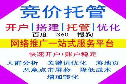 谷歌竞价广告与SEO结合的营销案例解析